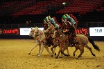 Quadrille - 00303